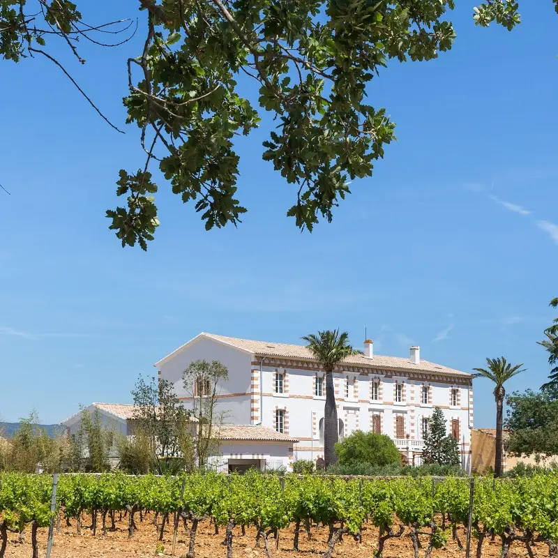 Château Le Bastidon à La Londe les Maures AOC Côtes de Provence