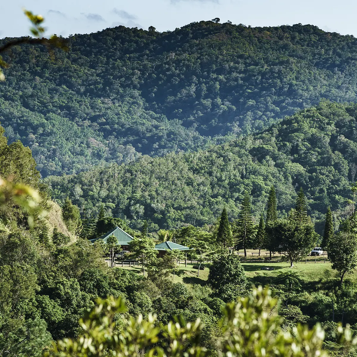 Parc des Grandes Fougères