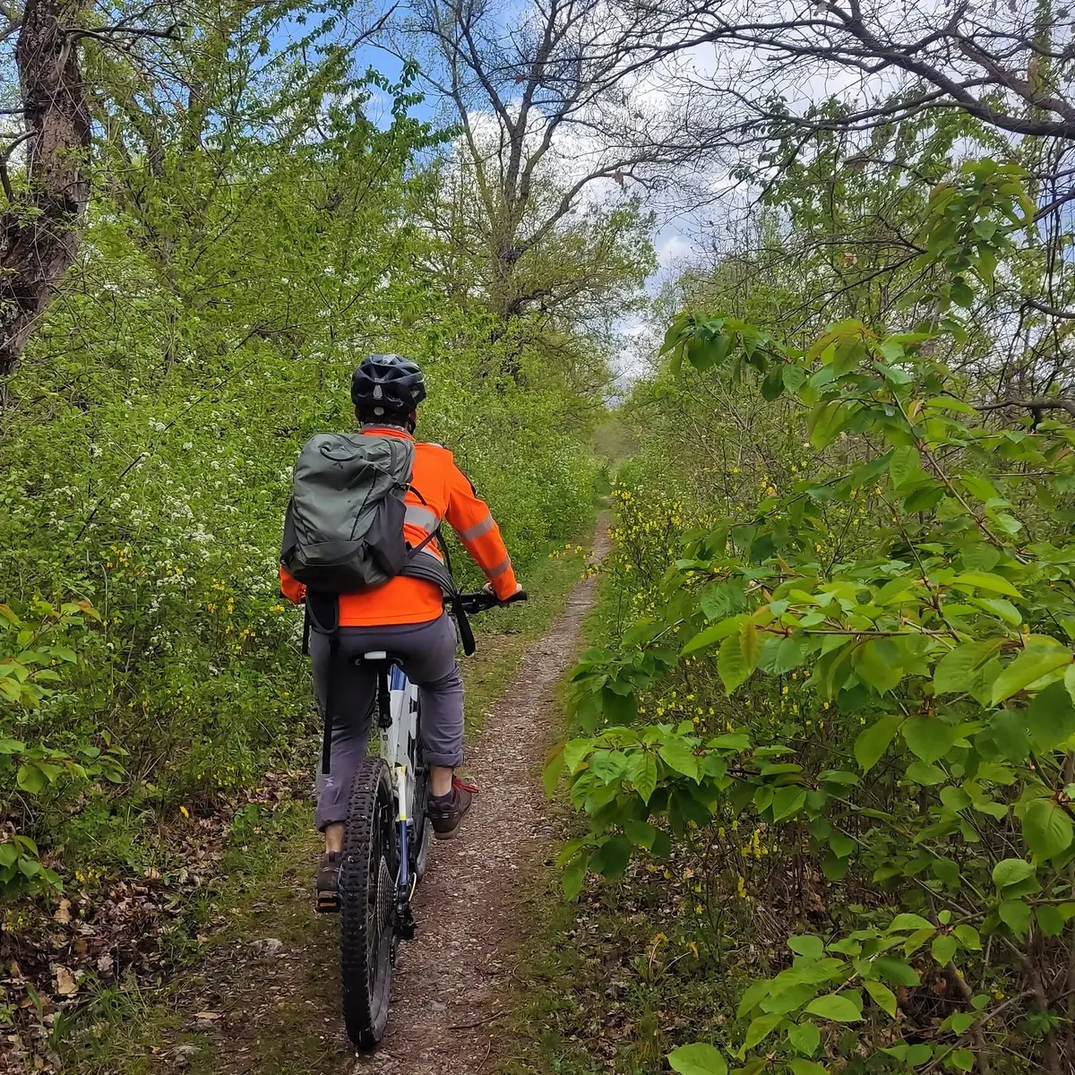 Agréable petit sentier longeant le Buëch