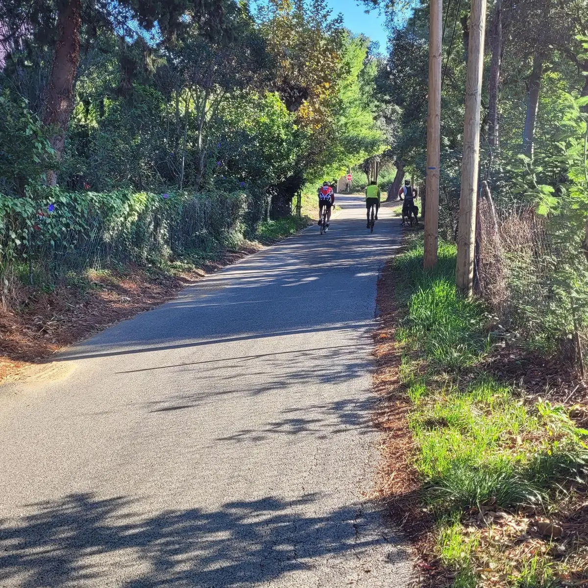 Plusieurs cyclistes roulant sur une portion de la piste cyclable