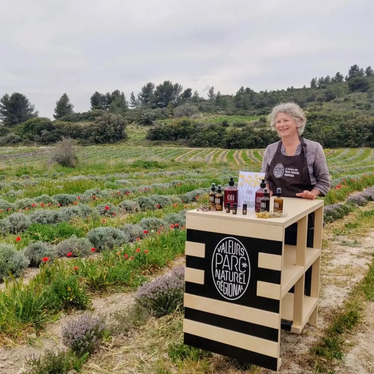 Oli dis Aupiho_Aureille_valeur parc