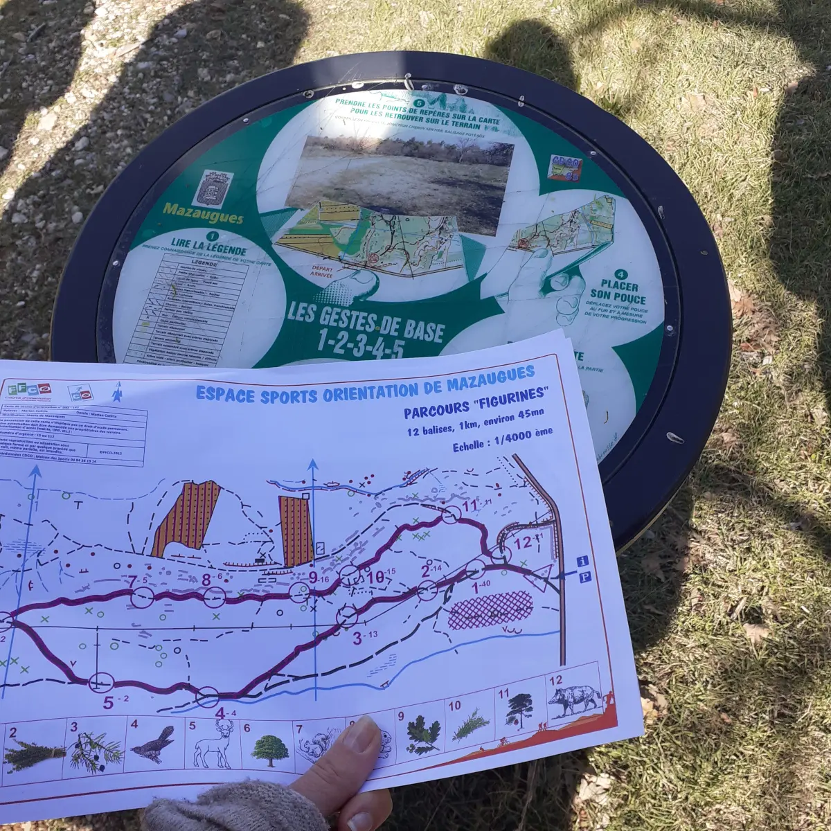 Espace sportif d'orientation le Petit Gaudin Mazaugues