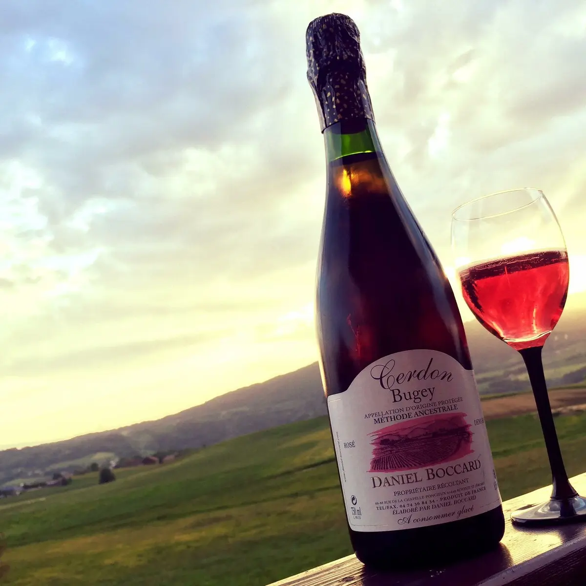 Domaine Viticole Daniel Boccard Propriétaire récoltant, Boyeux Saint Jérôme