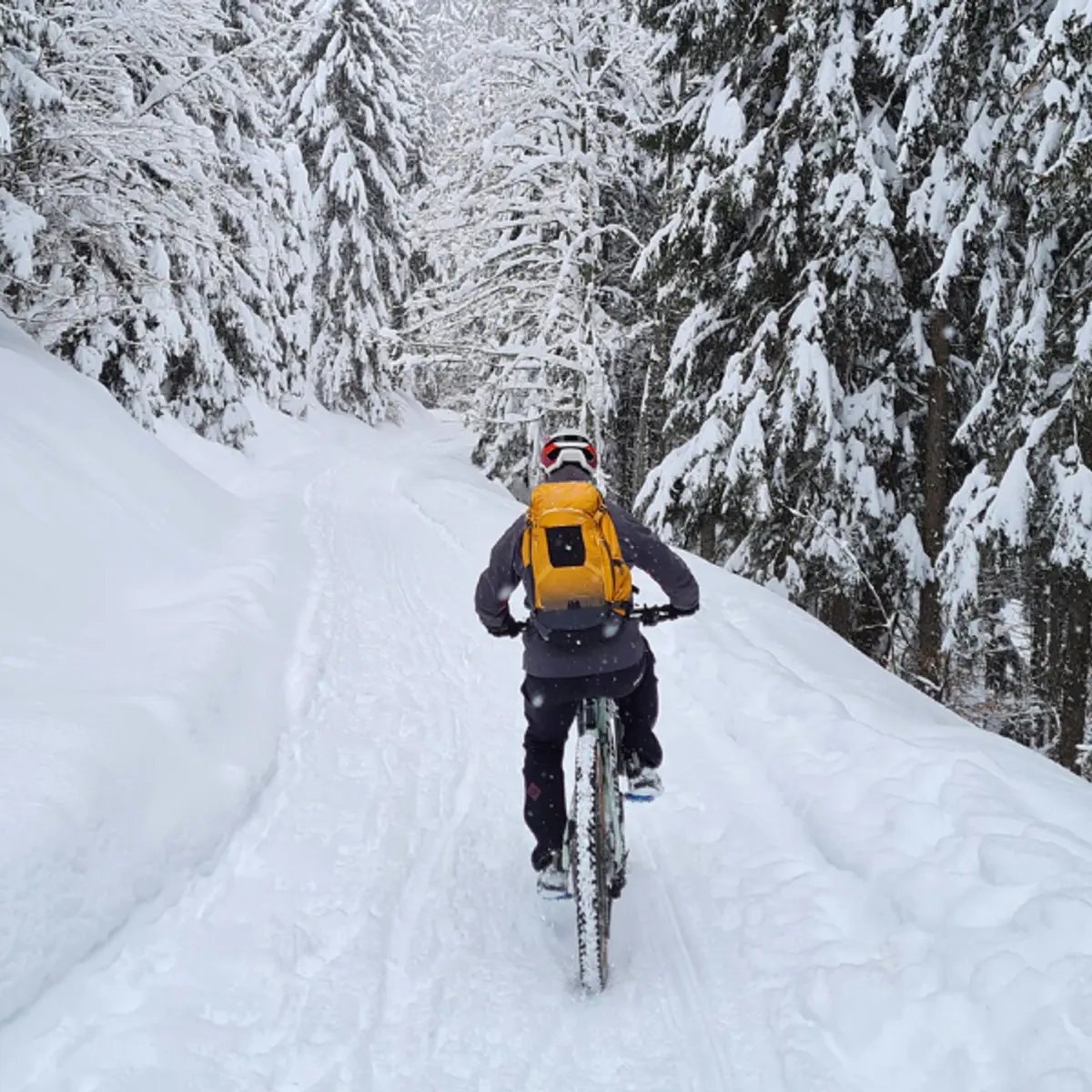 Noc'te-bike