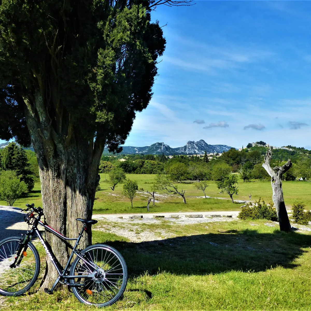 Un paysage de Provence