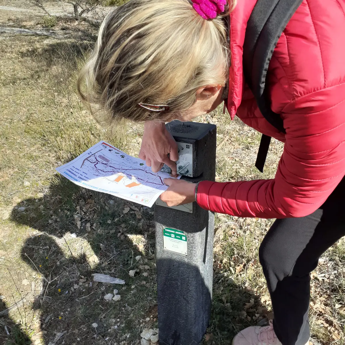 Espace sportif d'orientation le Petit Gaudin Mazaugues