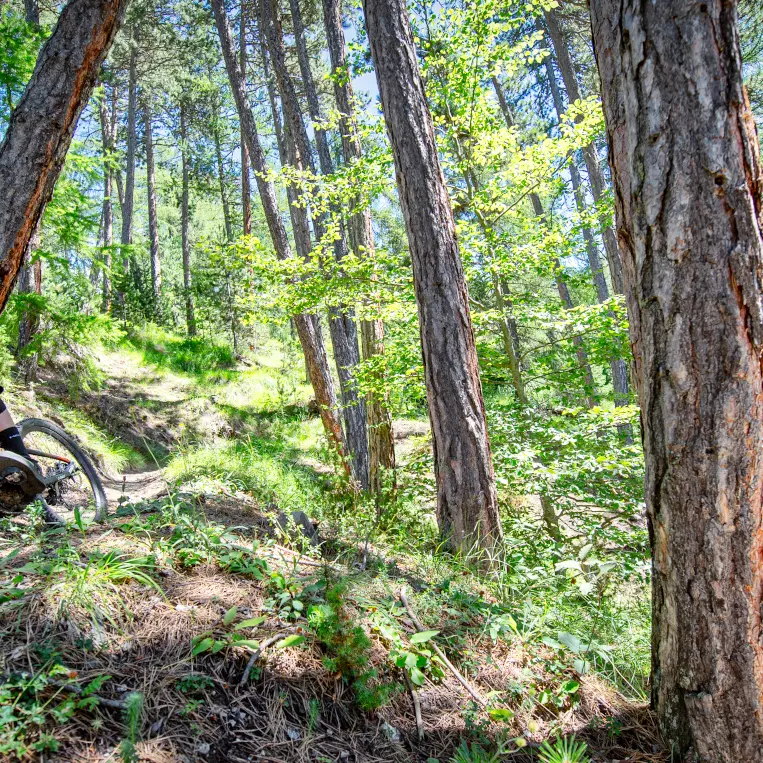 Tour du Champsaur VTT