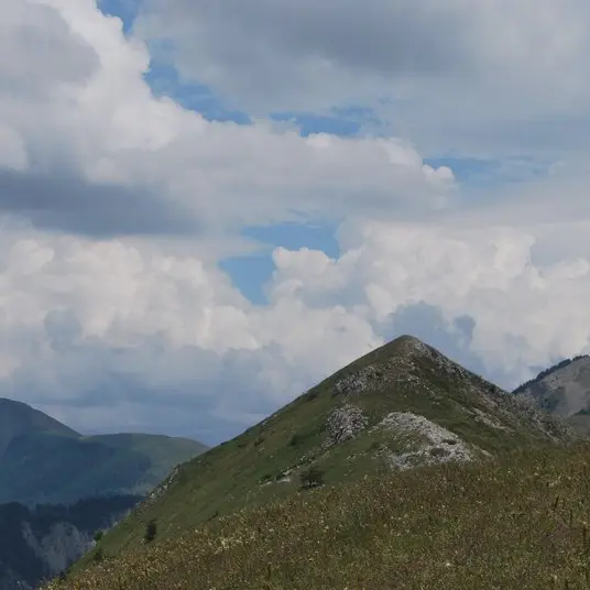 La crête du Clos des Martres vue depuis son sentier
