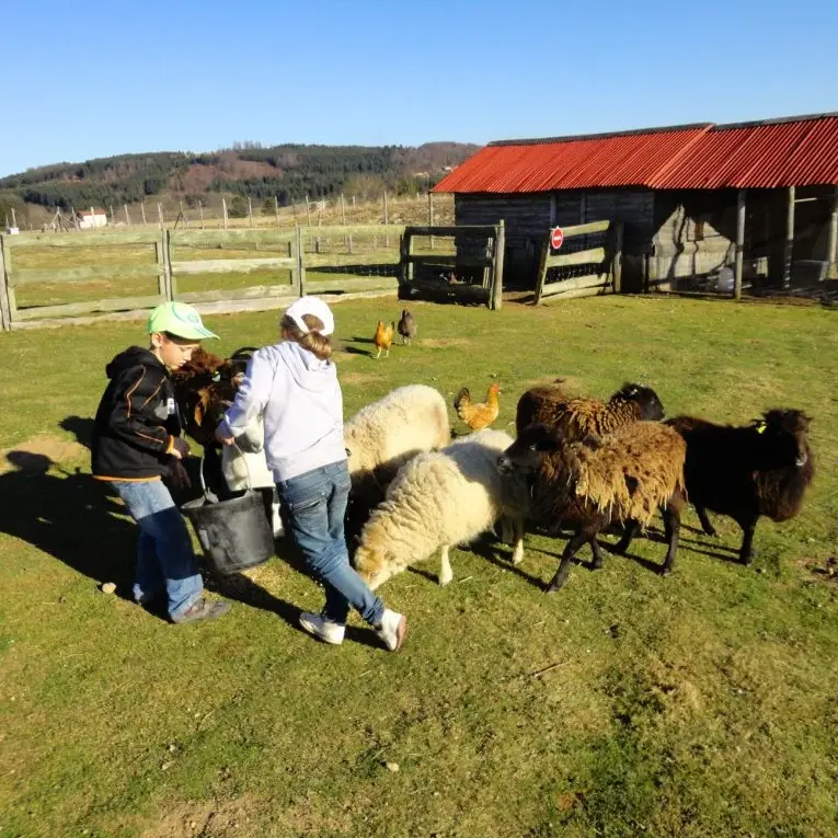 Mini-ferme de la Miellerie La Grange aux Abeilles - Estivareilles 42380
