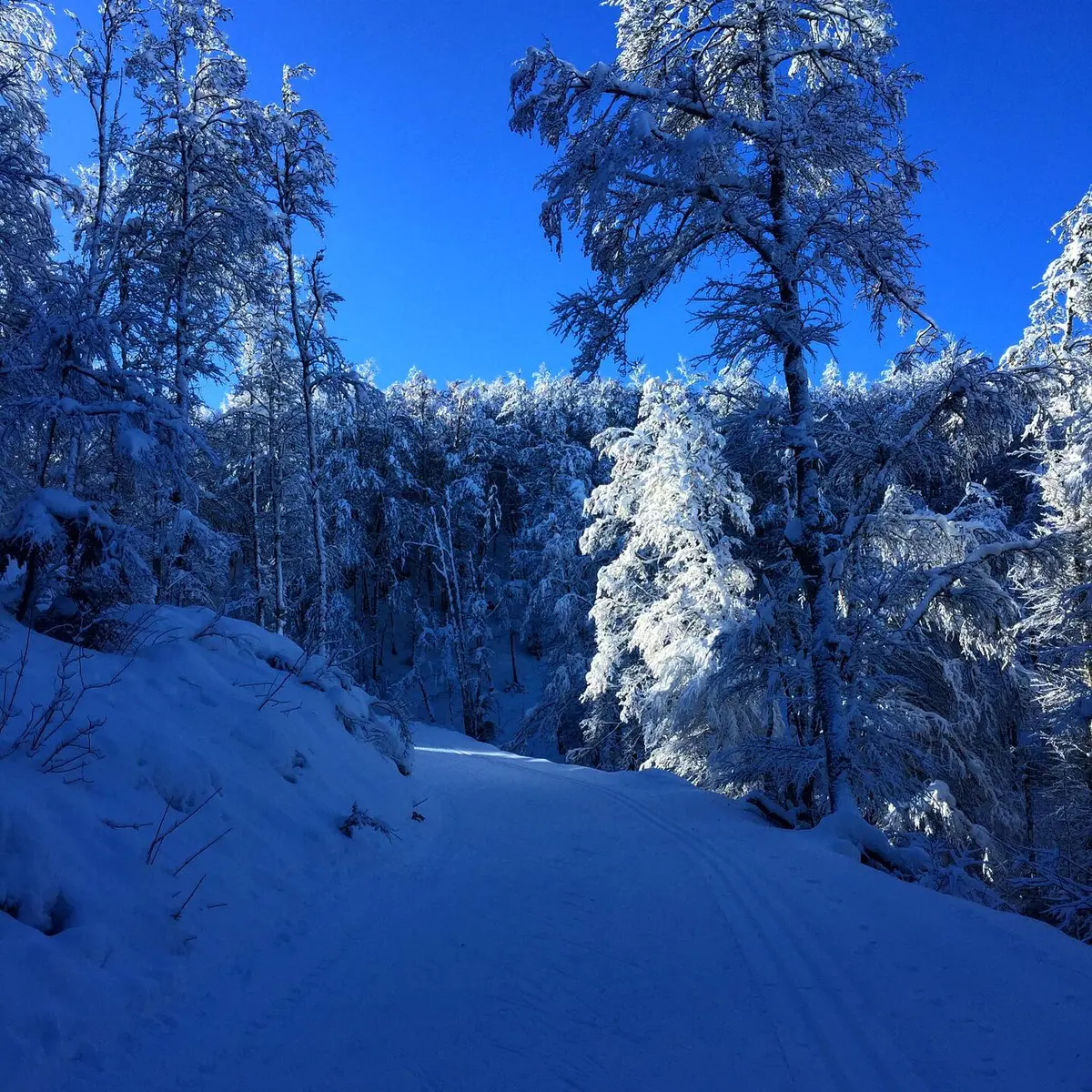 Ski Nordique à la Chapelle de Retord_Haut Valromey