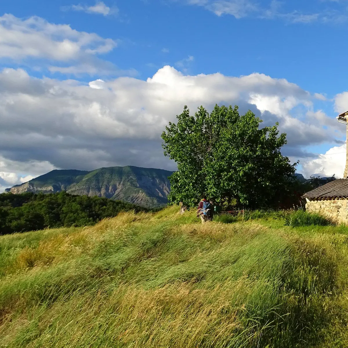 Le Verdillon