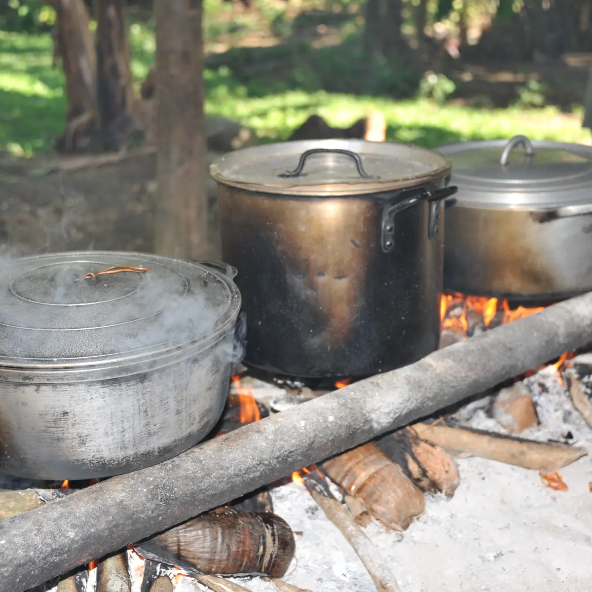 Restauration chez l'habitant.