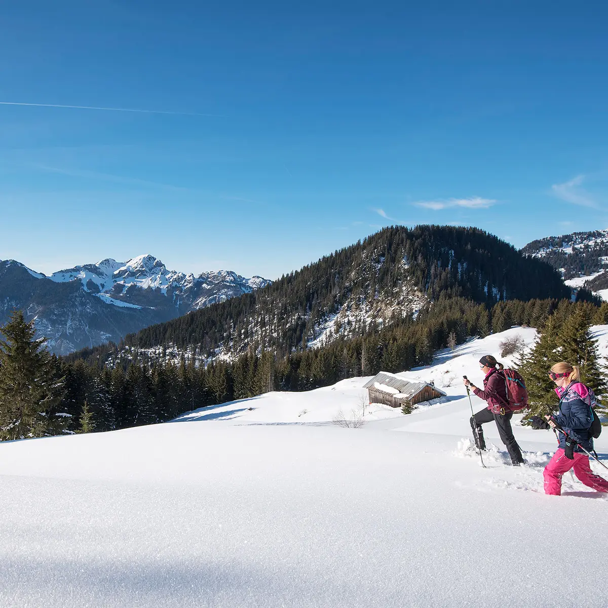 Vue sur le Mont-Billat
