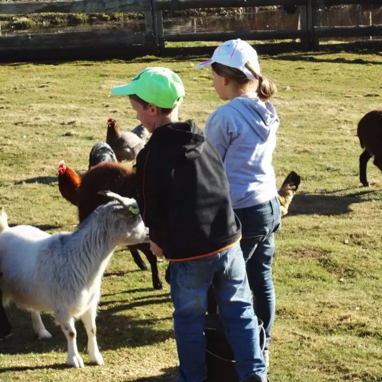 Mini-ferme de la Miellerie La Grange aux Abeilles - Estivareilles 42380