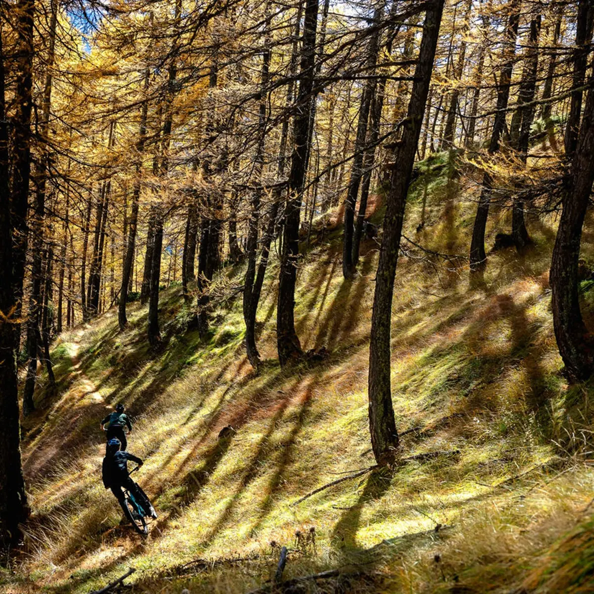 20 - La Coste en VTT_Arvieux