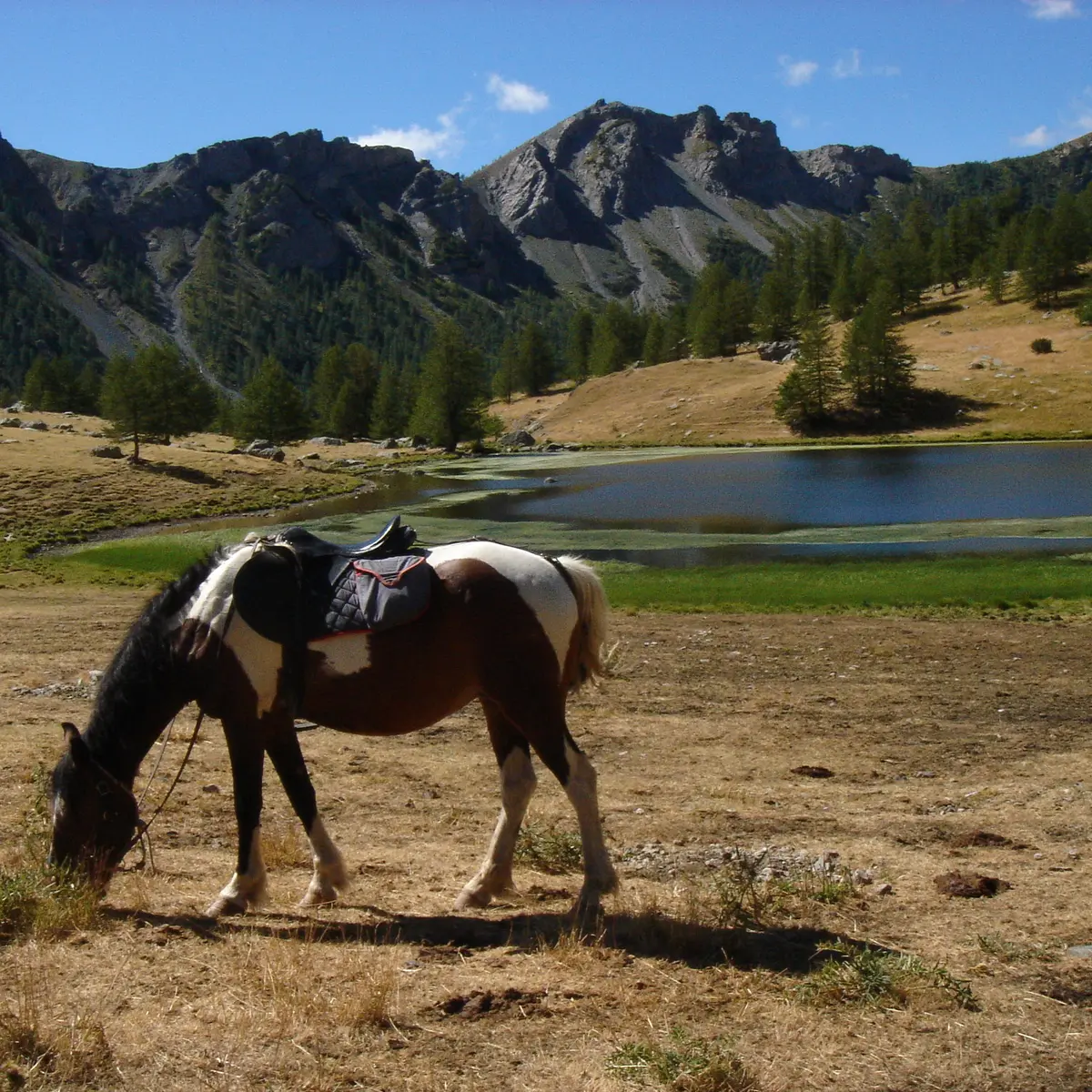 lac des grenouilles et cheval