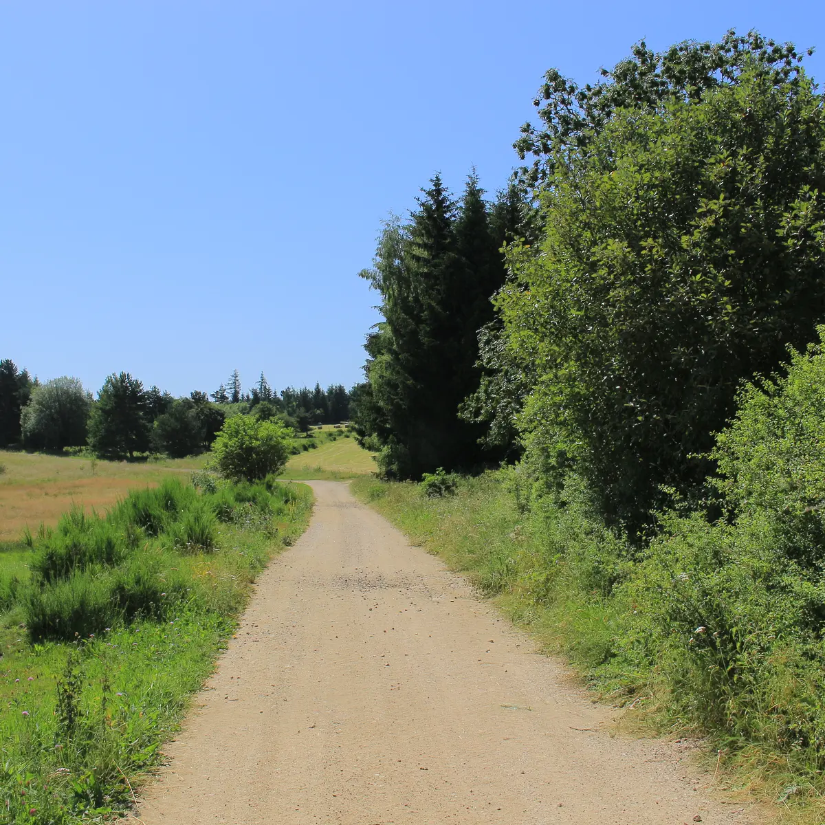 Chemin entre Leignecq et St-Hilaire-Cusson-la-Valmitte