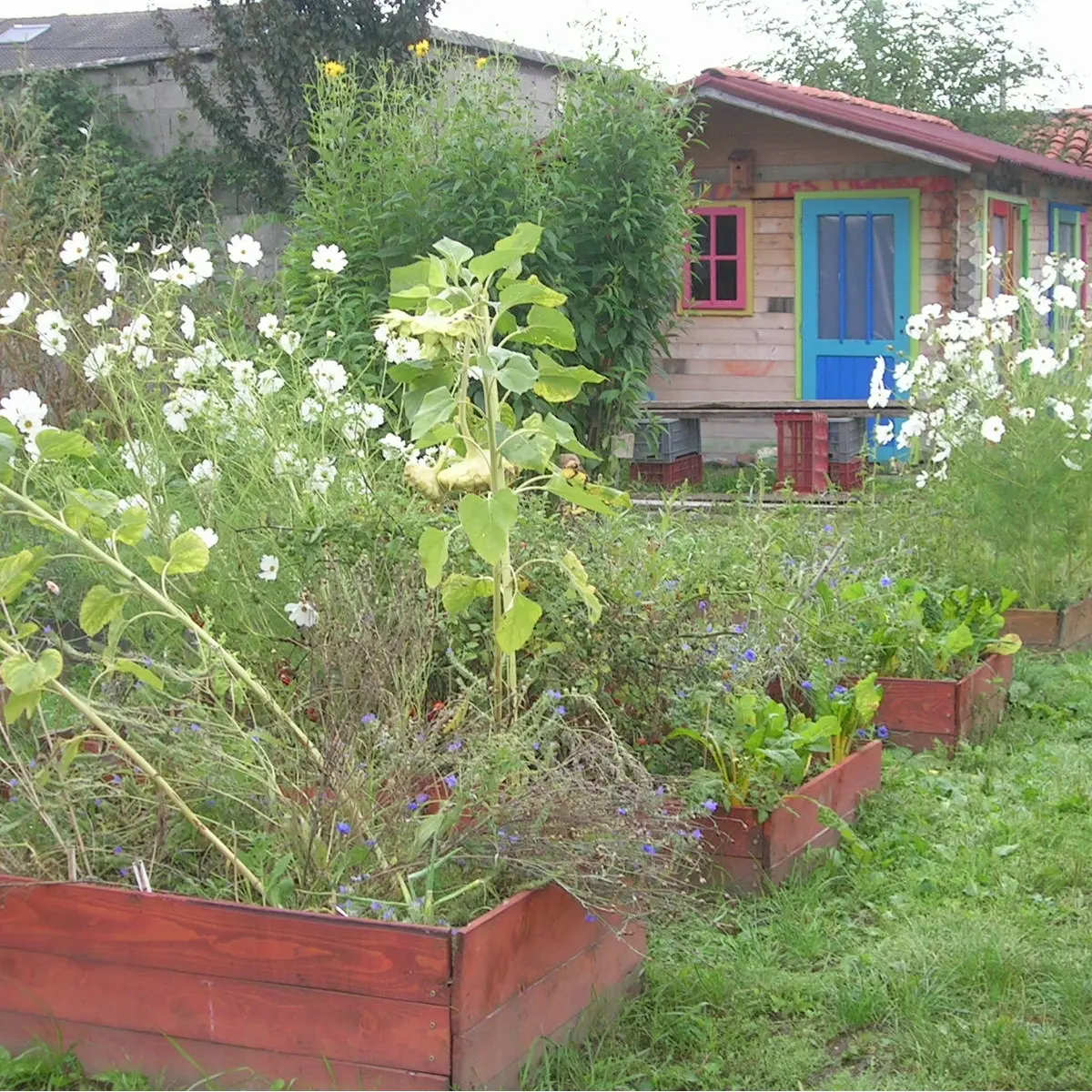 Oasis, jardin de Cocagne