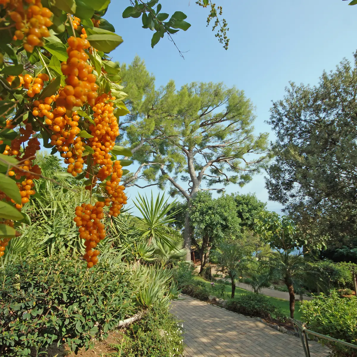 Parc de Sacha Guitry
