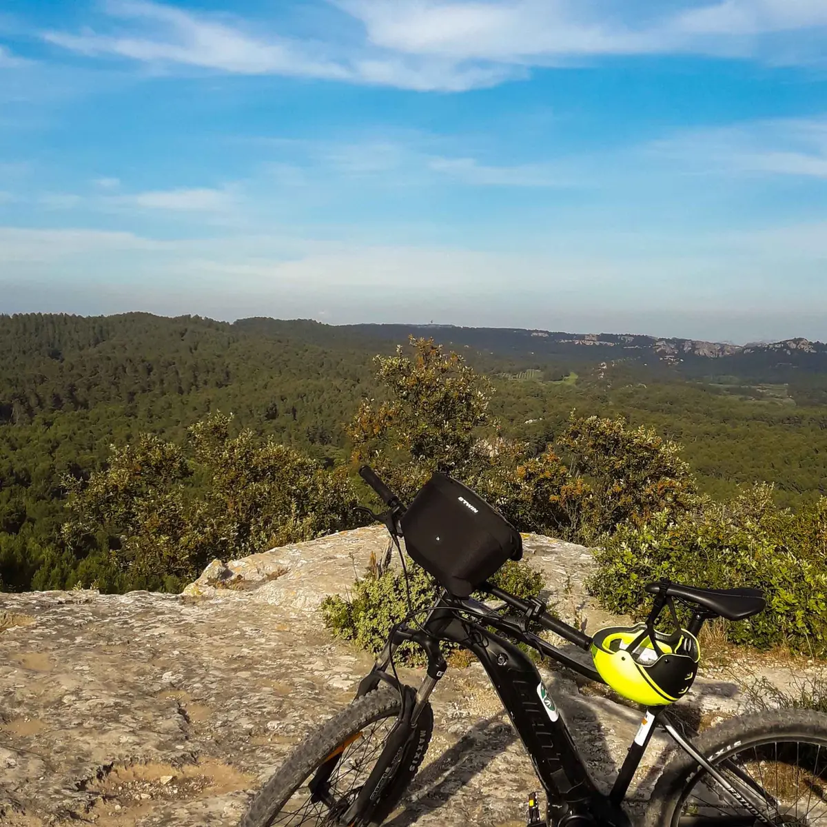 Panorama sur la pinède depuis les hauteurs du Vallon de la Lèque
