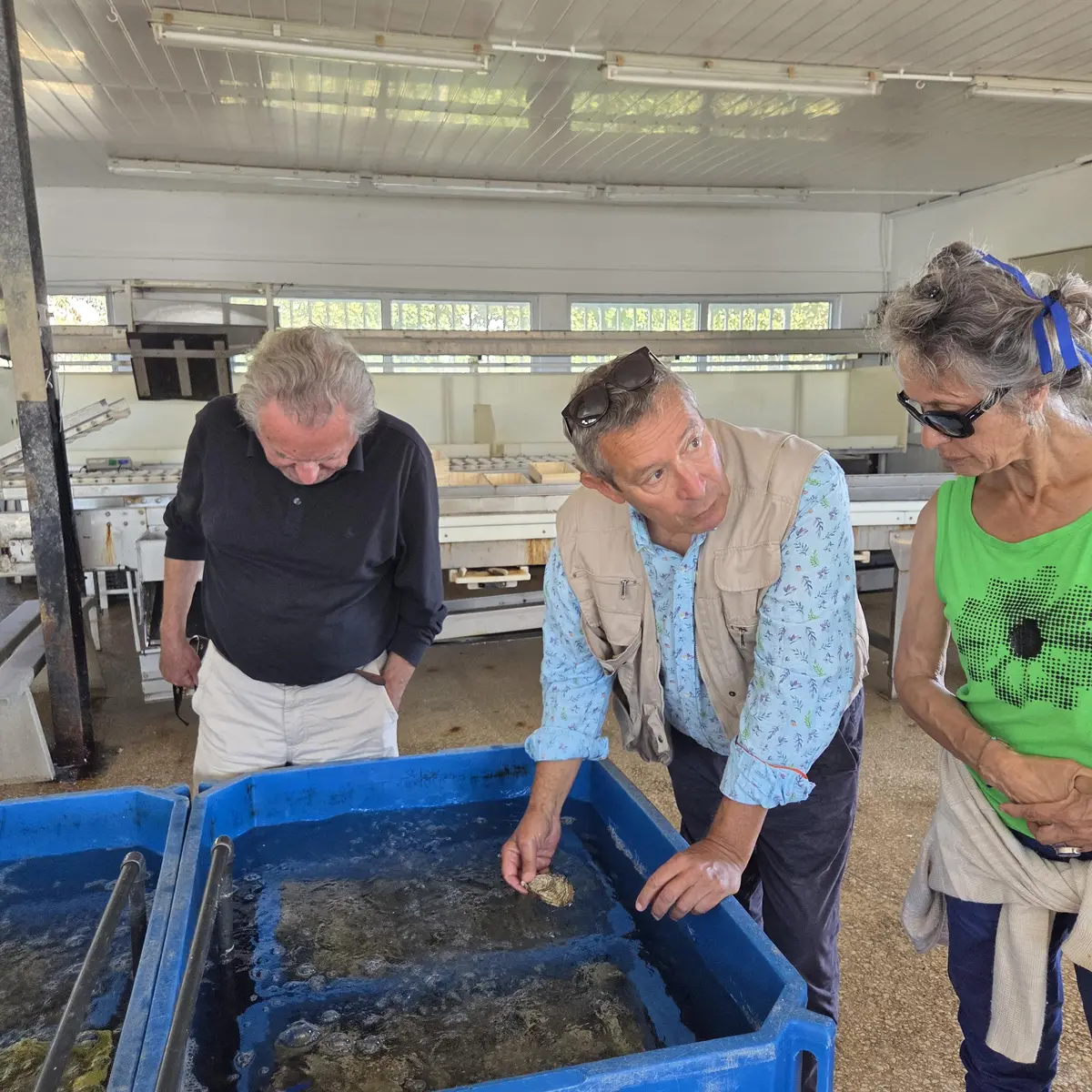 Visita guiada a medida: arte, cultura, patrimonio y tradición (transporte incluido)_Saint-Martin-de-Ré