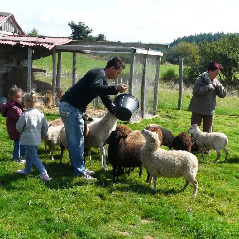 Mini-ferme de la Miellerie La Grange aux Abeilles - Estivareilles 42380