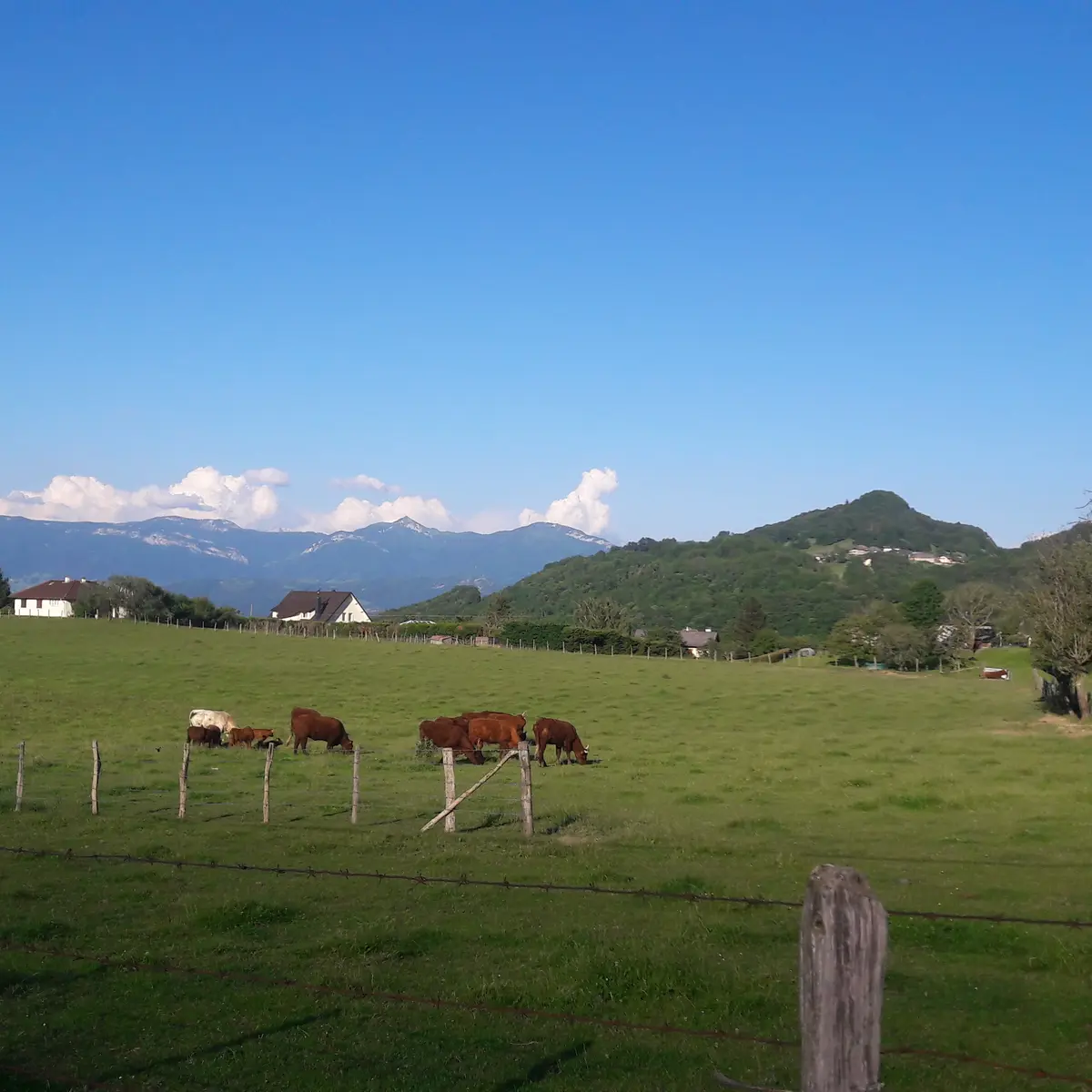 vue sur les Bauges