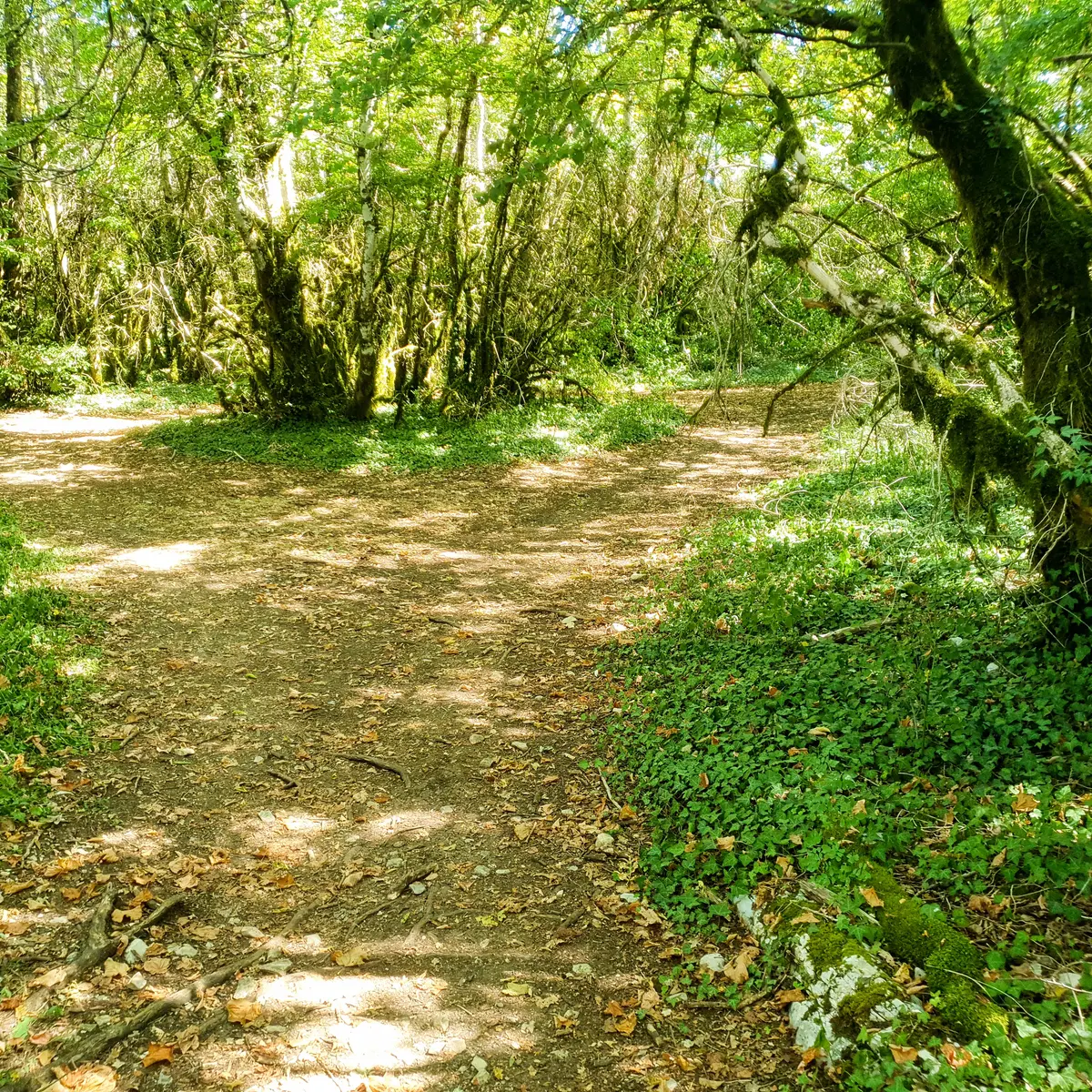 Circuit VTT n°17 (rouge) Roches de Cuiron - Mont July