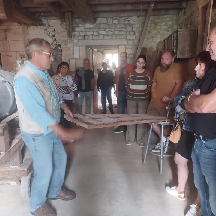 Visita guiada a medida: arte, cultura, patrimonio y tradición (transporte incluido)_Saint-Martin-de-Ré