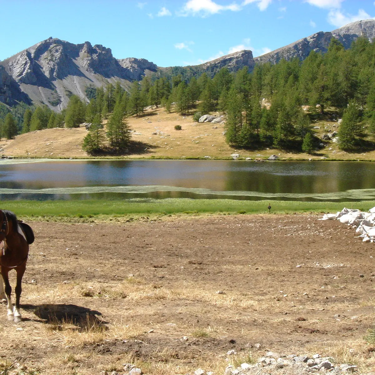 lac des grenouilles