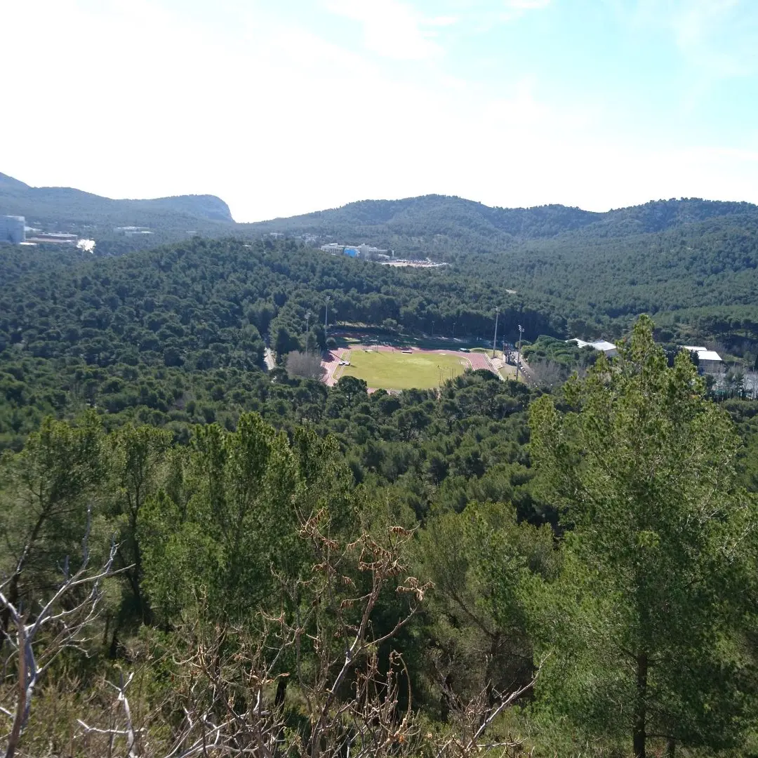 Domaine de Luminy