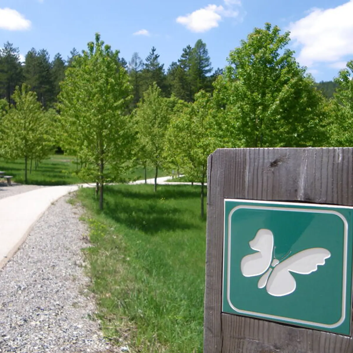Un enrobé écologique facilitant les déplacements