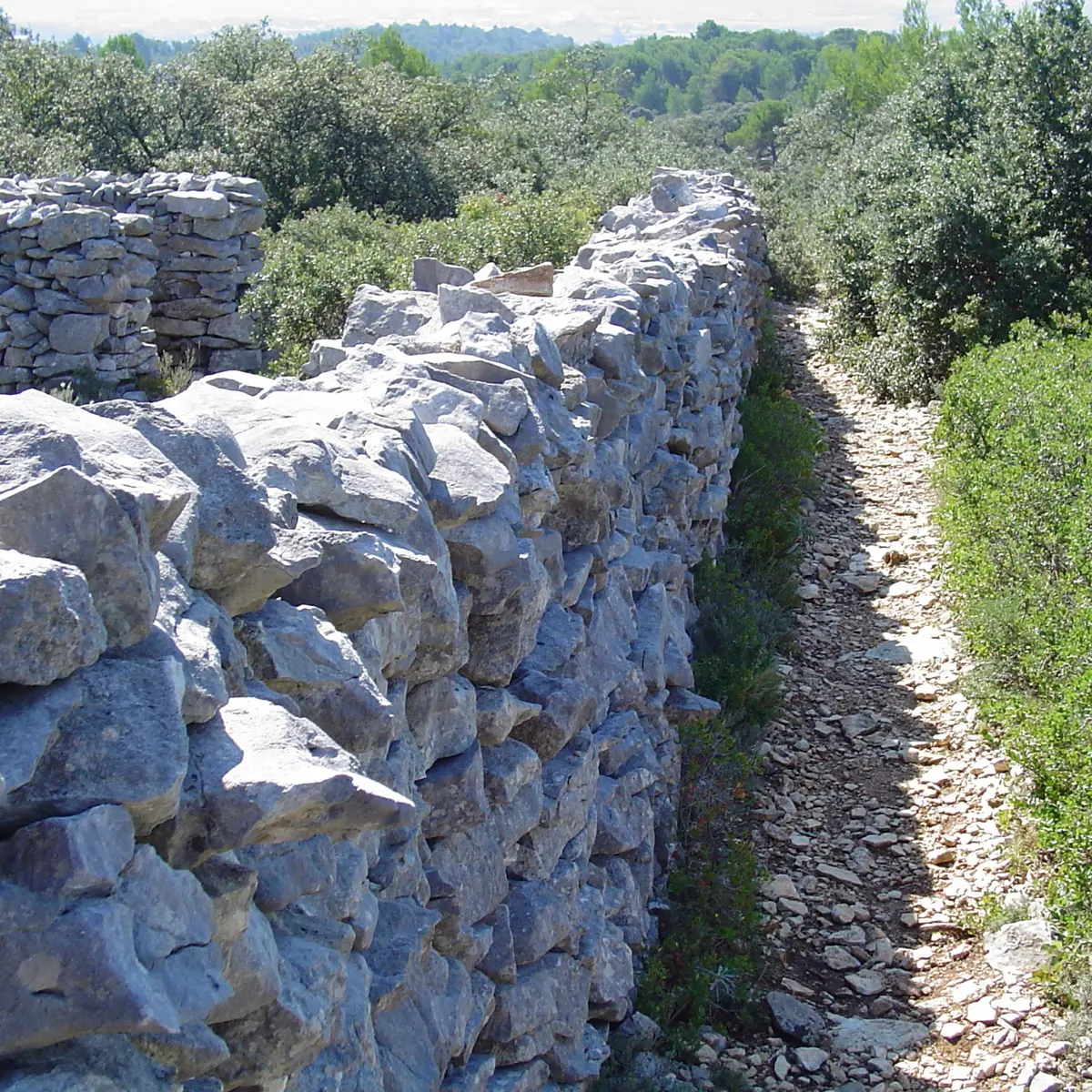 Mur de la peste
