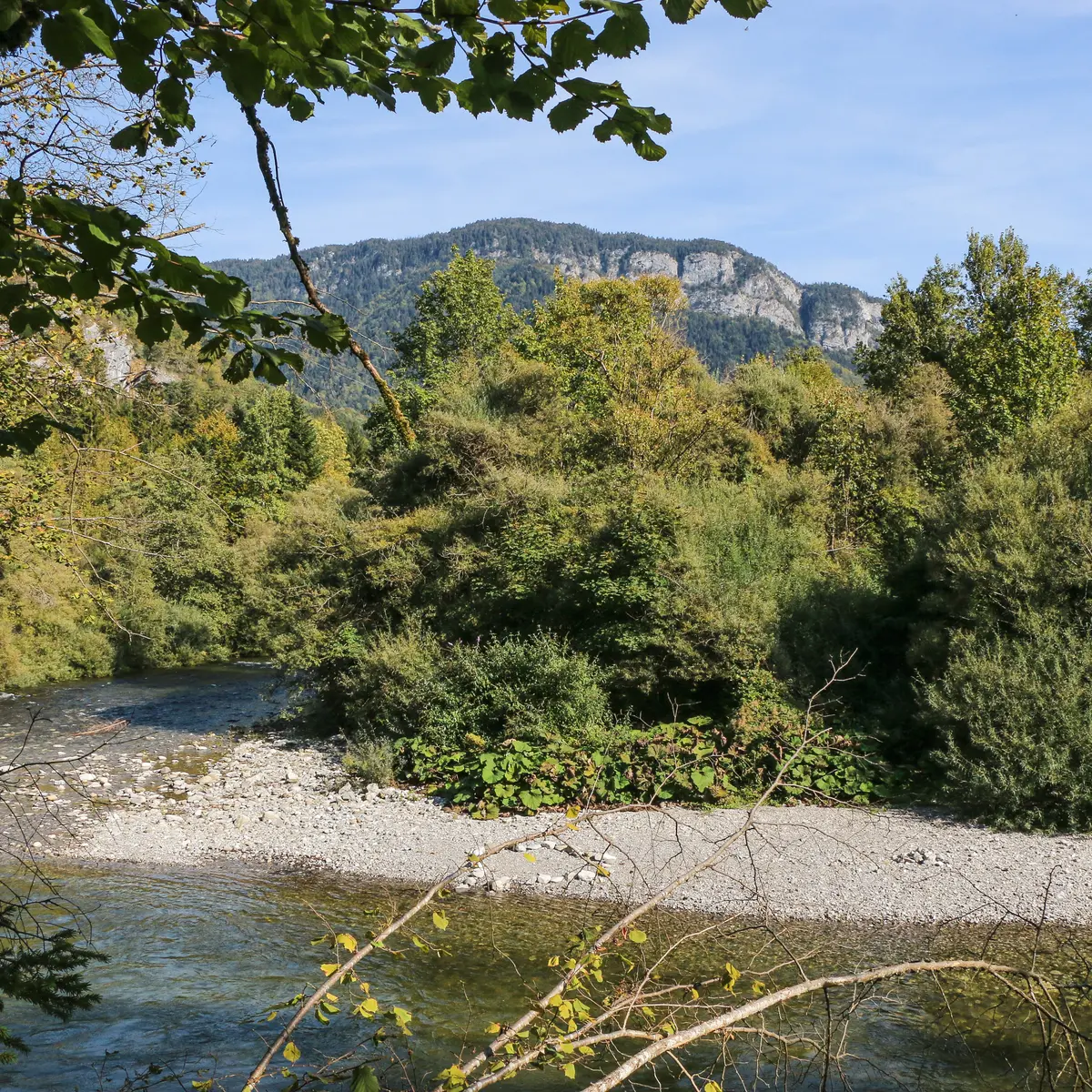 Plaine du Fier