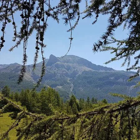 Panorama de montagne depuis Val d'Allos - le Seignus, prairie de montagne entourée de conifères, montagne de Rochecline