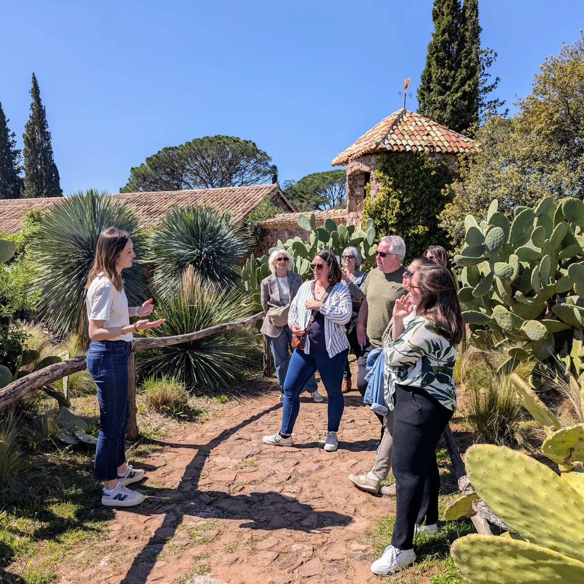 Circuit oenotouristique