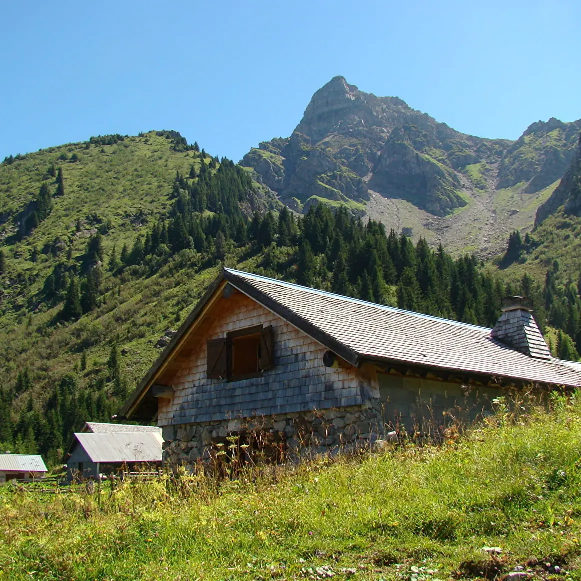 Chalets de Pertuis - Abondance