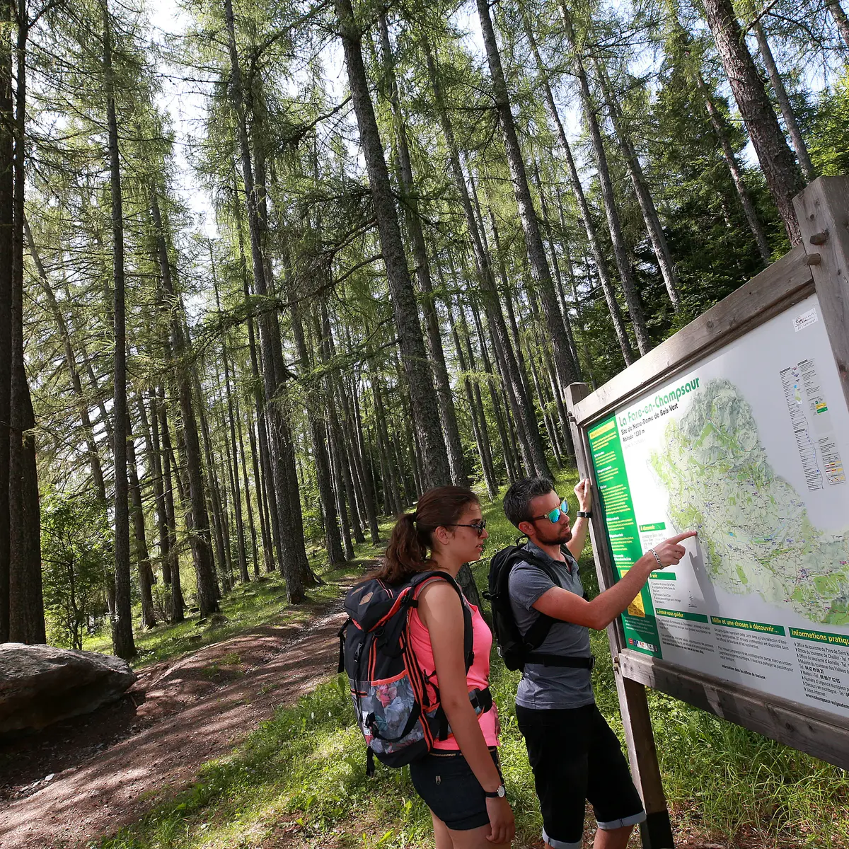 Notre-Dame de Bois vert