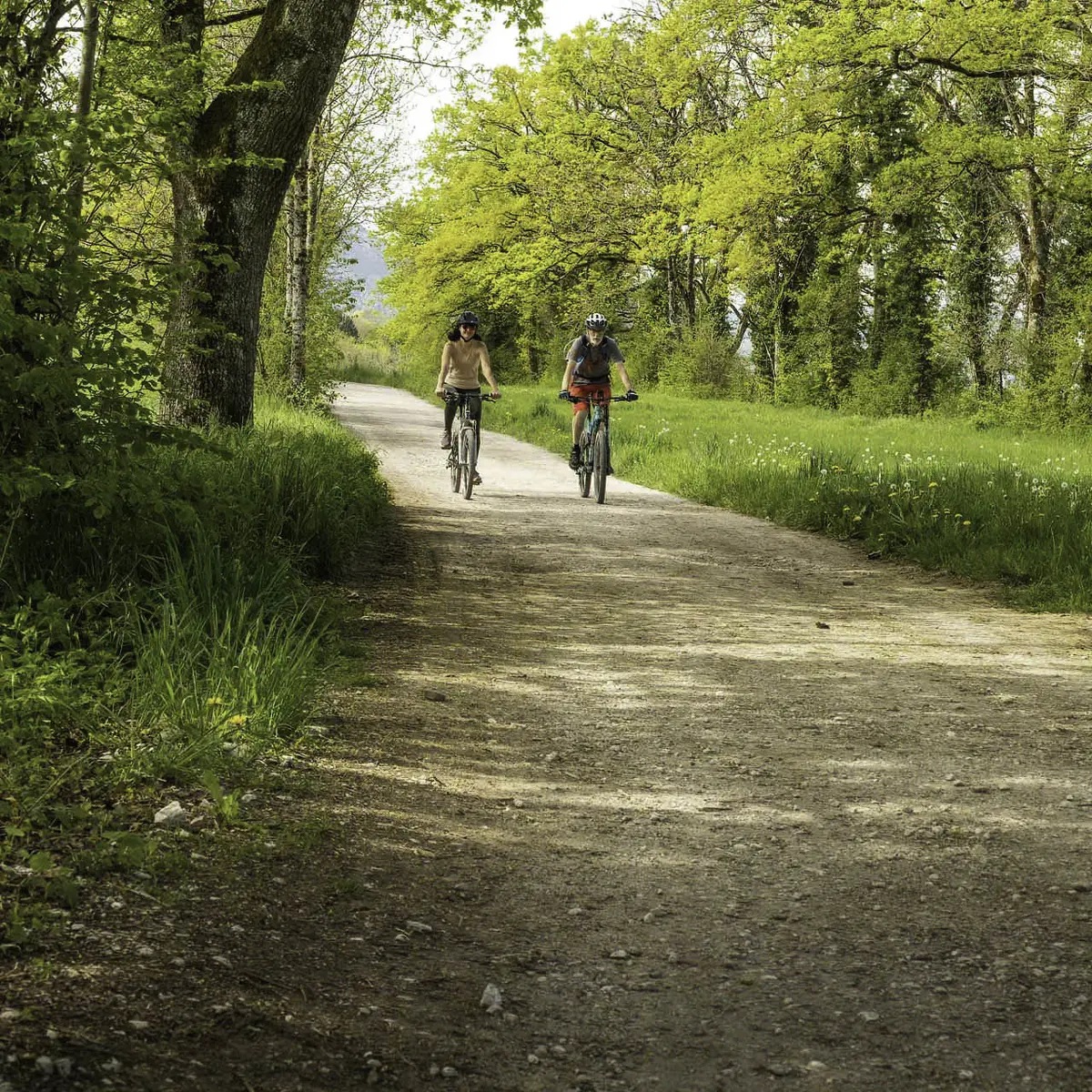 VTT tour du plateau de Gavot