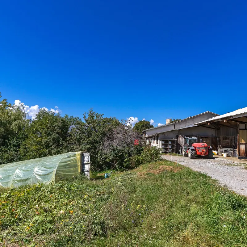 Visite de la ferme pédagogique GAEC du Caïre, Chaillol, vallée du Champsaur