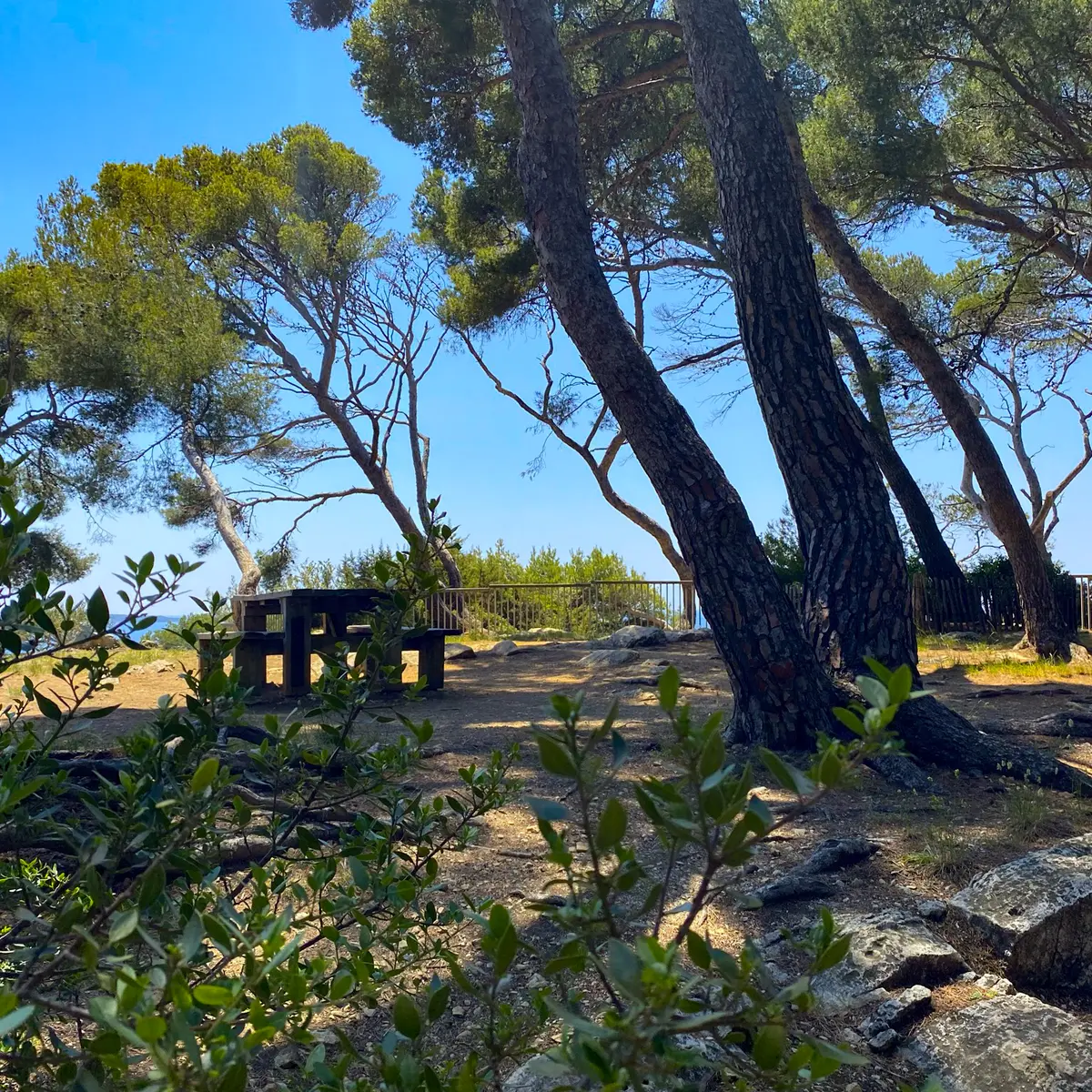 Espace Victorin Blanc 2