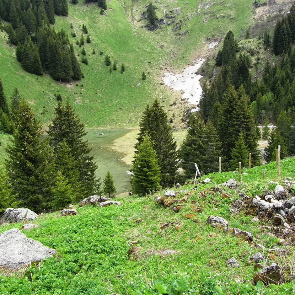 Chalets de Pertuis - Abondance