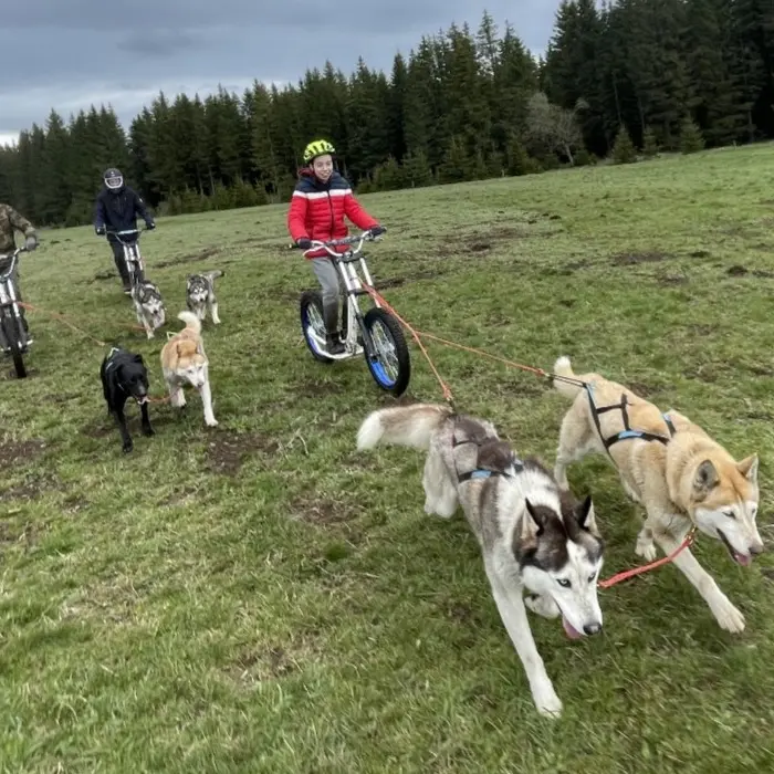 Dog Scooter - Evolution 2_Chamonix-Mont-Blanc
