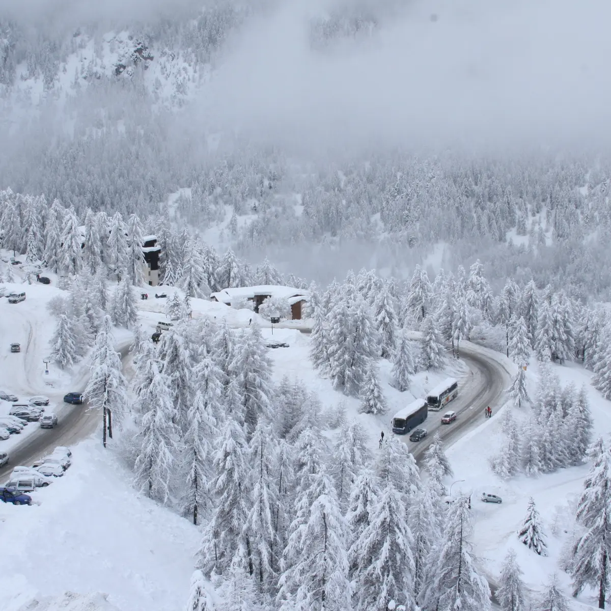 Parking de l'estomac