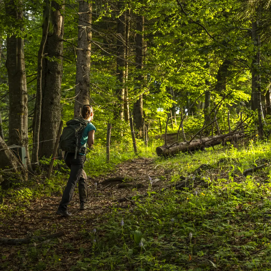 La boucle des Emeindras et le Habert de Chamechaude