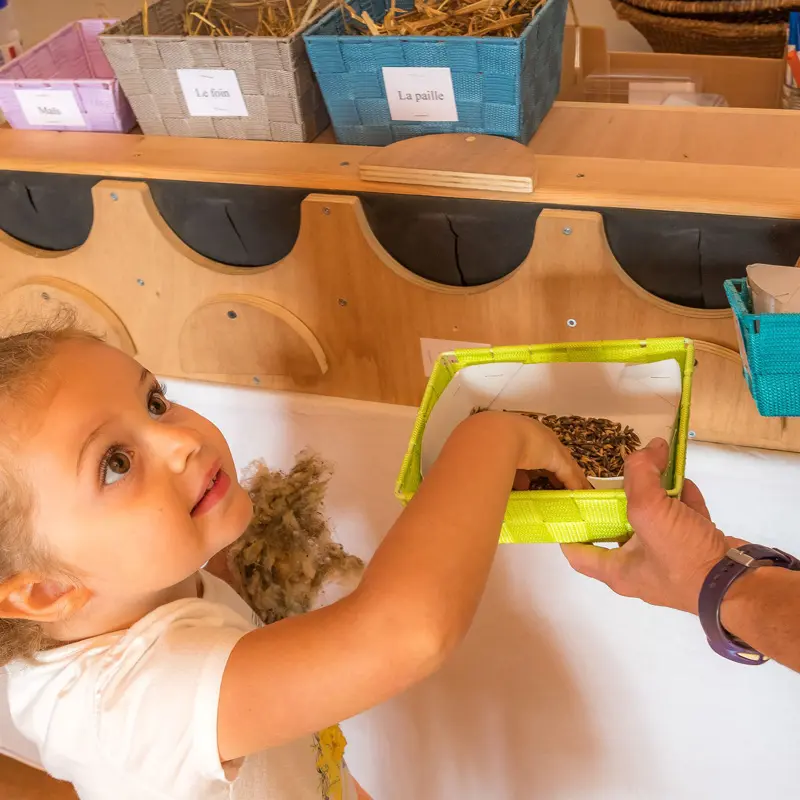 Visite de la ferme pédagogique GAEC du Caïre, Chaillol, vallée du Champsaur