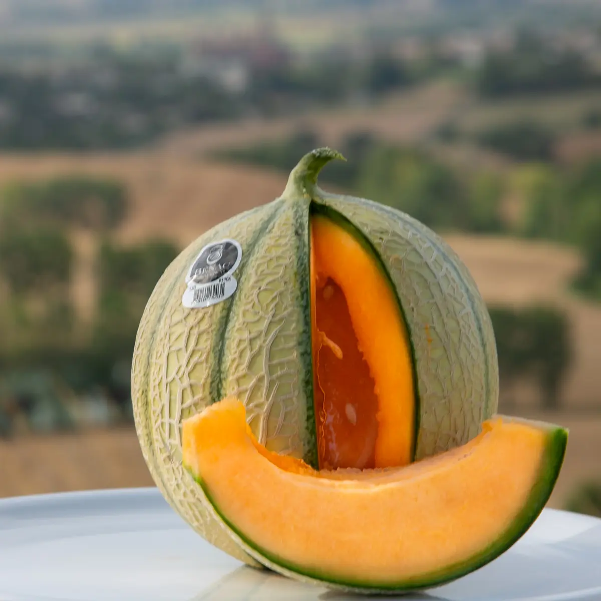 Melon le Bénac