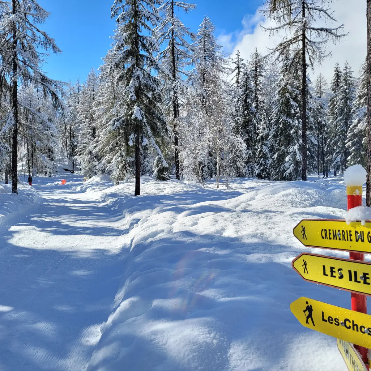 Panneaux sur la piste de fond