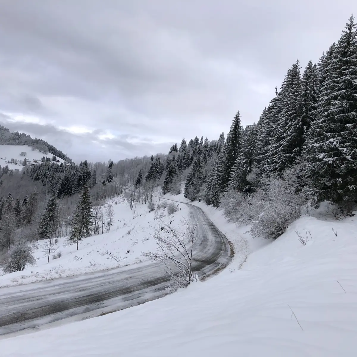 Tour du Pare