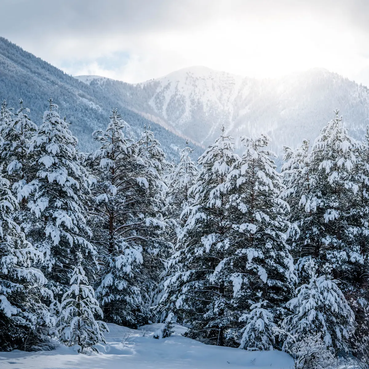 Randonnée raquette jusqu'au village de Val-des-Prés